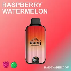 BANG 20000 vape BANG 20000 puffs BANG 20000 price BANG 20000 review BANG 20000 wholesale BANG 20000 pro BANG 20000