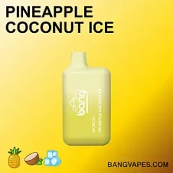 Bang BC 5000 vape Bang BC 5000 puffs Bang BC 5000 price Bang BC 5000 review Bang BC 5000 wholesale Bang BC 5000 pro Bang BC 5000