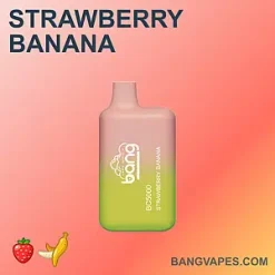Bang BC 5000 vape Bang BC 5000 puffs Bang BC 5000 price Bang BC 5000 review Bang BC 5000 wholesale Bang BC 5000 pro Bang BC 5000
