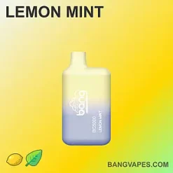 Bang BC 5000 vape Bang BC 5000 puffs Bang BC 5000 price Bang BC 5000 review Bang BC 5000 wholesale Bang BC 5000 pro Bang BC 5000