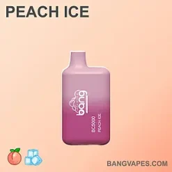 Bang BC 5000 vape Bang BC 5000 puffs Bang BC 5000 price Bang BC 5000 review Bang BC 5000 wholesale Bang BC 5000 pro Bang BC 5000