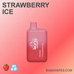 Bang BC 5000 vape Bang BC 5000 puffs Bang BC 5000 price Bang BC 5000 review Bang BC 5000 wholesale Bang BC 5000 pro Bang BC 5000