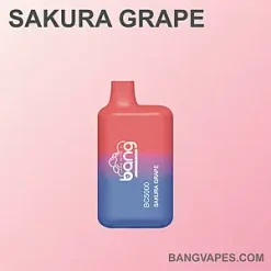 Bang BC 5000 vape Bang BC 5000 puffs Bang BC 5000 price Bang BC 5000 review Bang BC 5000 wholesale Bang BC 5000 pro Bang BC 5000