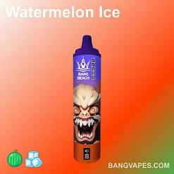 Bang Beach 22000 vape Bang Beach 22000 puffs Bang Beach 22000 price Bang Beach 22000 review Bang Beach 22000 wholesale Bang Beach 22000 pro Bang Beach 22000