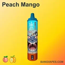Bang Beach 22000 vape Bang Beach 22000 puffs Bang Beach 22000 price Bang Beach 22000 review Bang Beach 22000 wholesale Bang Beach 22000 pro Bang Beach 22000