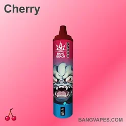 Bang Beach 22000 vape Bang Beach 22000 puffs Bang Beach 22000 price Bang Beach 22000 review Bang Beach 22000 wholesale Bang Beach 22000 pro Bang Beach 22000