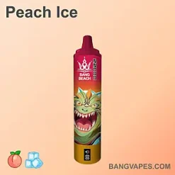 Bang Beach 22000 vape Bang Beach 22000 puffs Bang Beach 22000 price Bang Beach 22000 review Bang Beach 22000 wholesale Bang Beach 22000 pro Bang Beach 22000