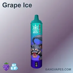 Bang Beach 22000 vape Bang Beach 22000 puffs Bang Beach 22000 price Bang Beach 22000 review Bang Beach 22000 wholesale Bang Beach 22000 pro Bang Beach 22000