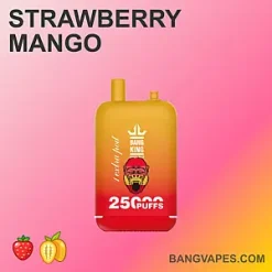 Bang Beach 22000 vape Bang Beach 22000 puffs Bang Beach 22000 price Bang Beach 22000 review Bang Beach 22000 wholesale Bang Beach 22000 pro Bang Beach 22000