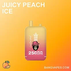 Bang Beach 22000 vape Bang Beach 22000 puffs Bang Beach 22000 price Bang Beach 22000 review Bang Beach 22000 wholesale Bang Beach 22000 pro Bang Beach 22000