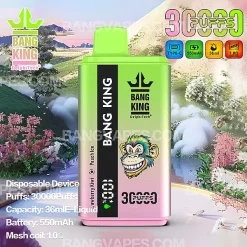 Bang E-Shisha Head 42000 vape Bang E-Shisha Head 42000 puffs Bang E-Shisha Head 42000 price Bang E-Shisha Head 42000 review Bang E-Shisha Head 42000 wholesale Bang E-Shisha Head 42000 pro Bang E-Shisha Head 42000
