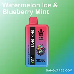 Bang E-Shisha Head 42000 vape Bang E-Shisha Head 42000 puffs Bang E-Shisha Head 42000 price Bang E-Shisha Head 42000 review Bang E-Shisha Head 42000 wholesale Bang E-Shisha Head 42000 pro Bang E-Shisha Head 42000