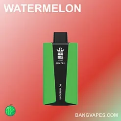 Bang King 30000 Pro vape Bang King 30000 Pro puffs Bang King 30000 Pro price Bang King 30000 Pro review Bang King 30000 Pro wholesale Bang King 30000 Pro