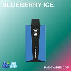 Bang King 30000 Pro vape Bang King 30000 Pro puffs Bang King 30000 Pro price Bang King 30000 Pro review Bang King 30000 Pro wholesale Bang King 30000 Pro
