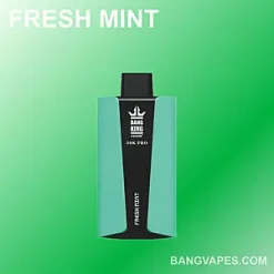 Bang King 30000 Pro vape Bang King 30000 Pro puffs Bang King 30000 Pro price Bang King 30000 Pro review Bang King 30000 Pro wholesale Bang King 30000 Pro