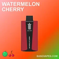 Bang King 30000 Pro vape Bang King 30000 Pro puffs Bang King 30000 Pro price Bang King 30000 Pro review Bang King 30000 Pro wholesale Bang King 30000 Pro