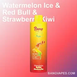 Bang King Triple 3 in 1 vape Bang King Triple 3 in 1 puffs Bang King Triple 3 in 1 price Bang King Triple 3 in 1 review Bang King Triple 3 in 1 wholesale Bang King Triple 3 in 1 pro Bang King Triple 3 in 1