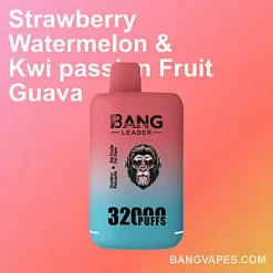 Bang Leader 32K vape Bang Leader 32K puffs Bang Leader 32K price Bang Leader 32K review Bang Leader 32K wholesale Bang Leader 32K pro Bang Leader 32K