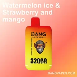 Bang Leader 32K vape Bang Leader 32K puffs Bang Leader 32K price Bang Leader 32K review Bang Leader 32K wholesale Bang Leader 32K pro Bang Leader 32K