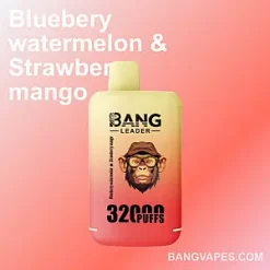 Bang Leader 32K vape Bang Leader 32K puffs Bang Leader 32K price Bang Leader 32K review Bang Leader 32K wholesale Bang Leader 32K pro Bang Leader 32K