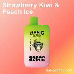 Bang Leader 32K vape Bang Leader 32K puffs Bang Leader 32K price Bang Leader 32K review Bang Leader 32K wholesale Bang Leader 32K pro Bang Leader 32K
