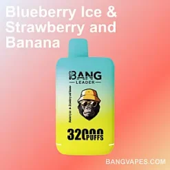 Bang Leader 32K vape Bang Leader 32K puffs Bang Leader 32K price Bang Leader 32K review Bang Leader 32K wholesale Bang Leader 32K pro Bang Leader 32K