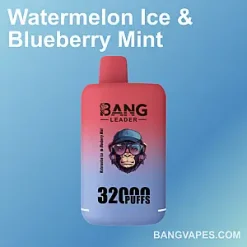 Bang Leader 32K vape Bang Leader 32K puffs Bang Leader 32K price Bang Leader 32K review Bang Leader 32K wholesale Bang Leader 32K pro Bang Leader 32K