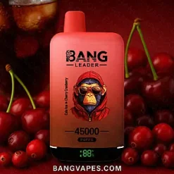 Bang Leader 45K 2-in-1 vape Bang Leader 45K 2-in-1 puffs Bang Leader 45K 2-in-1 price Bang Leader 45K 2-in-1 review Bang Leader 45K 2-in-1 wholesale Bang Leader 45K 2-in-1 pro Bang Leader 45K 2-in-1