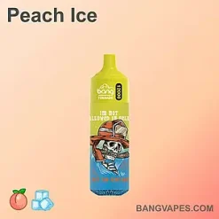 Bang Tornado 12000 vape Bang Tornado 12000 puffs Bang Tornado 12000 price Bang Tornado 12000 review Bang Tornado 12000 wholesale Bang Tornado 12000 pro Bang Tornado 12000