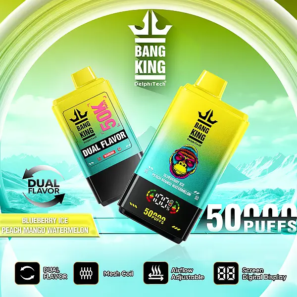 Bang king 50000puff ニコパフ　箱のみ Bang King 50000 Puffs Disposable Vape – 850mAh Battery, 50mL