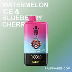 BangKing 50K vape BangKing 50K puffs BangKing 50K price BangKing 50K review BangKing 50K wholesale BangKing 50K pro BangKing 50K