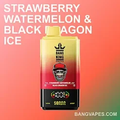 BangKing 50K vape BangKing 50K puffs BangKing 50K price BangKing 50K review BangKing 50K wholesale BangKing 50K pro BangKing 50K