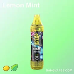 Bangking 35K vape Bangking 35K puffs Bangking 35K price Bangking 35K review Bangking 35K wholesale Bangking 35K pro Bangking 35K