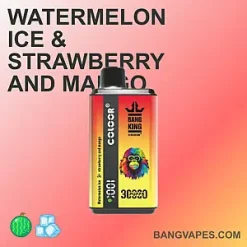 Bang king 30000 vape Bang king 30000 puffs Bang king 30000 price Bang king 30000 review Bang king 30000 wholesale Bang king 30000 pro Bang king 30000