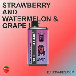 Bang king 30000 vape Bang king 30000 puffs Bang king 30000 price Bang king 30000 review Bang king 30000 wholesale Bang king 30000 pro Bang king 30000