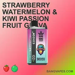 Bang king 30000 vape Bang king 30000 puffs Bang king 30000 price Bang king 30000 review Bang king 30000 wholesale Bang king 30000 pro Bang king 30000